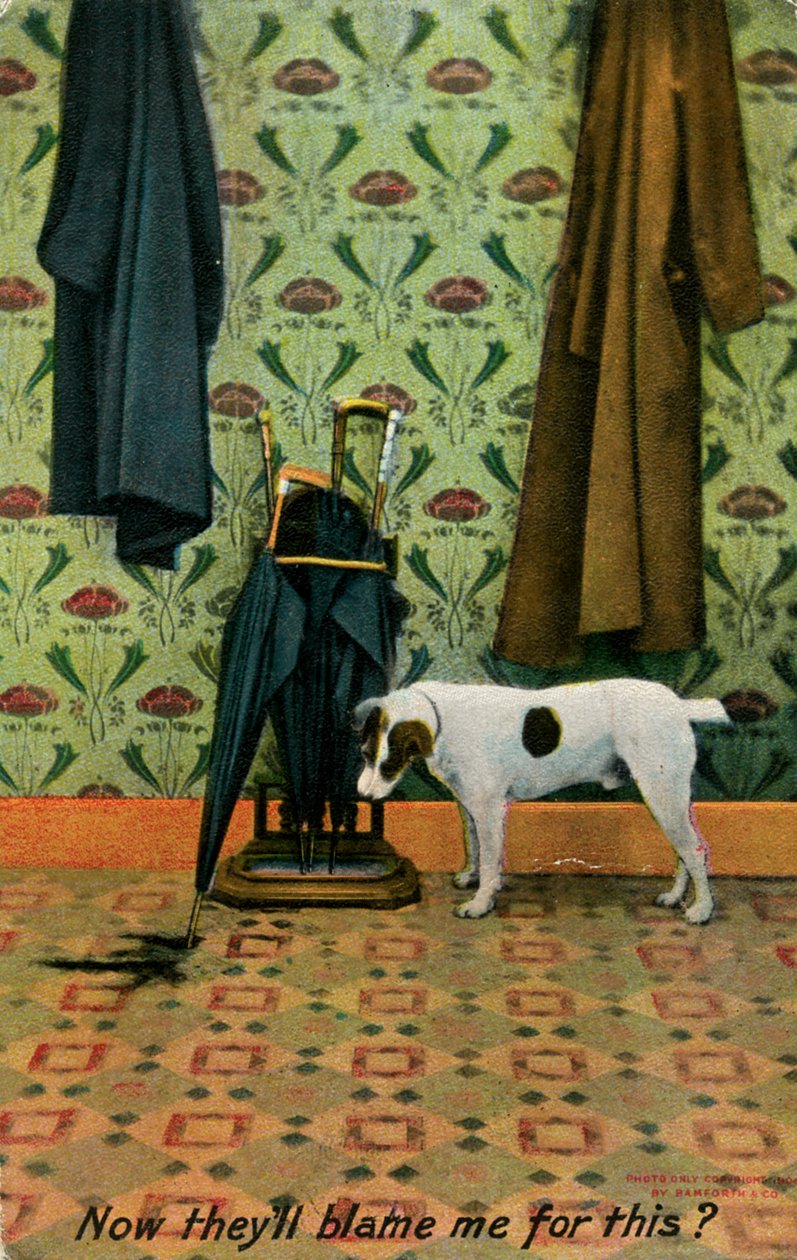 „Teraz będą mnie za to winić”, ok. 1910. autorstwa Holmfirth Bamforth and Co