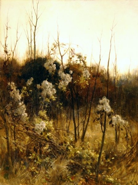 Radość podróżnika autorstwa Hon. Walter John James