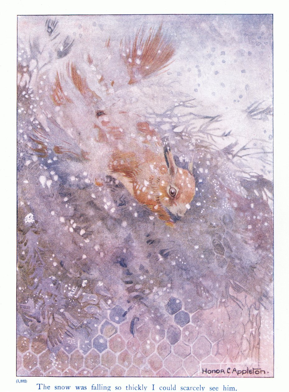 Śnieg padał tak gęsto, że ledwo go widziałem, ilustracja z „Więcej o wiewiórkach” Eleanor Tyrell, ok. 1915 (kolor litho) autorstwa Honor Charlotte Appleton