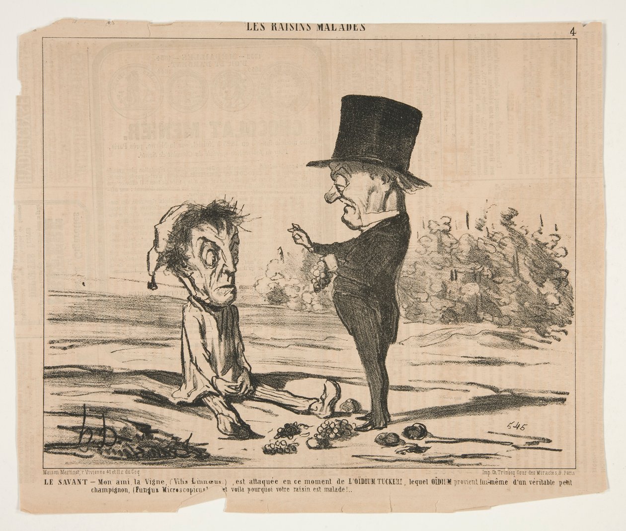 Uczony — Mój przyjaciel Vine (Vitis Linnaeus.) jest w tej chwili atakowany autorstwa Honoré Daumier