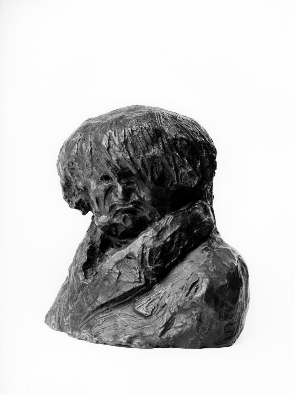 Popiersia mnóstwo karykatury „Celebrites du Juste Milieu” „”Clementa Prunelle (1777-1853), lekarza, zastępcy i burmistrza Lyonu”” Rzeźby Honore Daumiera (1808-1879) XIX wieku. Wymiary w cm H 13 x L 15 Inv RF 263 Musee des Beaux Arts, Palais Long autorstwa Honoré Daumier