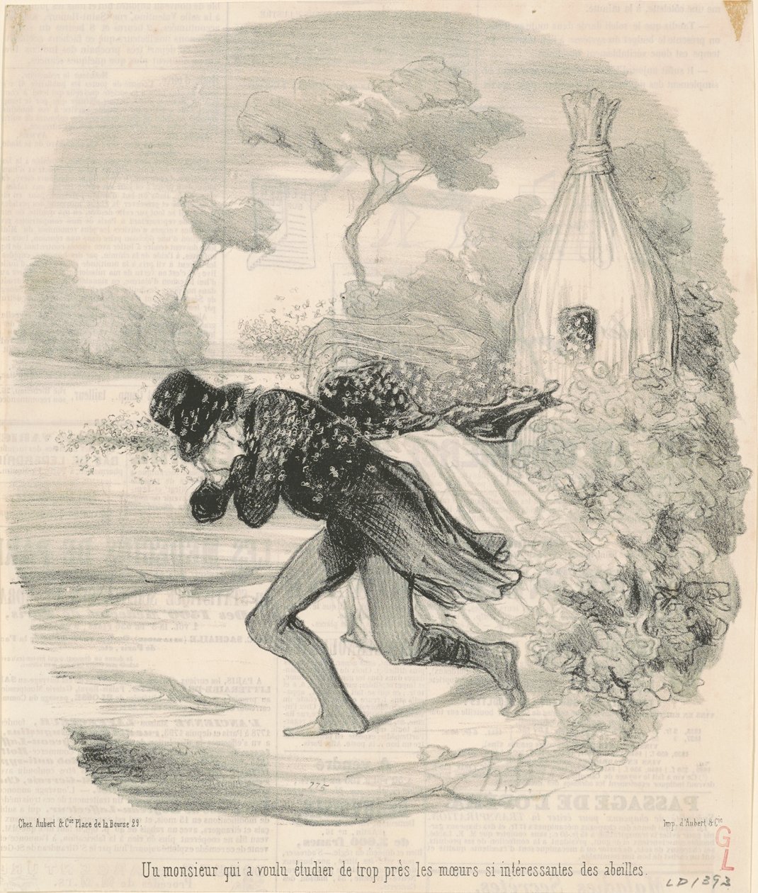 Dżentelmen, który chciał studiować… obyczaje… pszczół autorstwa Honoré Daumier