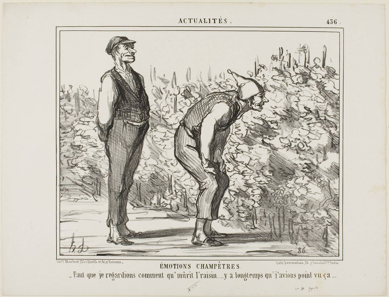 Emocje ze wsi. "- Muszę zobaczyć, jak rośnie wino... nigdy wcześniej tego nie widziałem...", płyta 436 z Actualités autorstwa Honoré Victorin Daumier