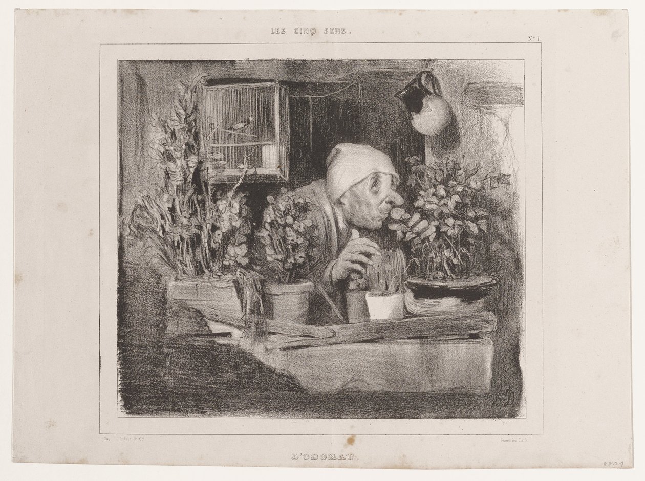 Węch (Pięć zmysłów), z „La Caricature” autorstwa Honoré Daumier