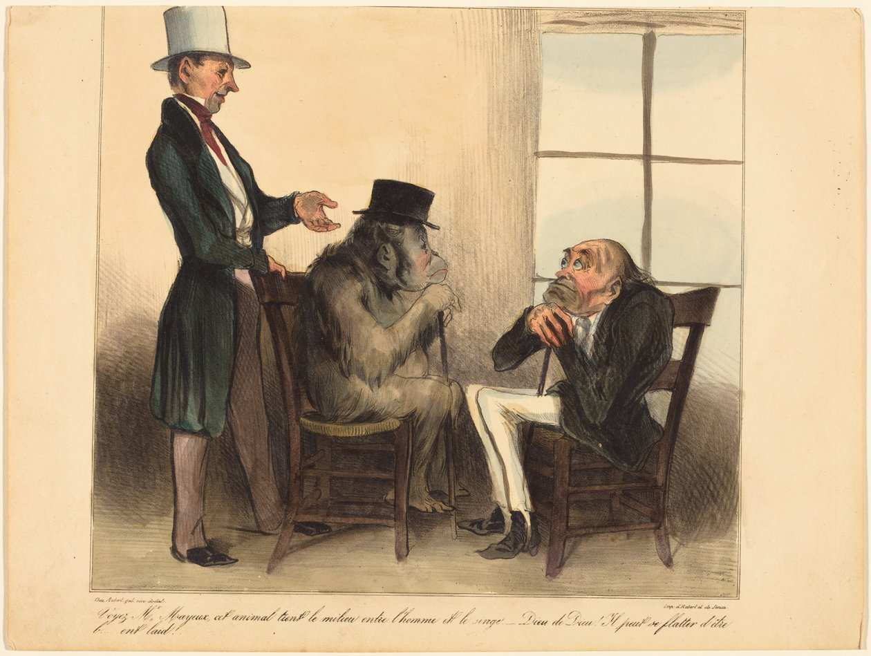 Proszę spojrzeć, panie Mayeux, na to zwierzę... autorstwa Honoré Daumier