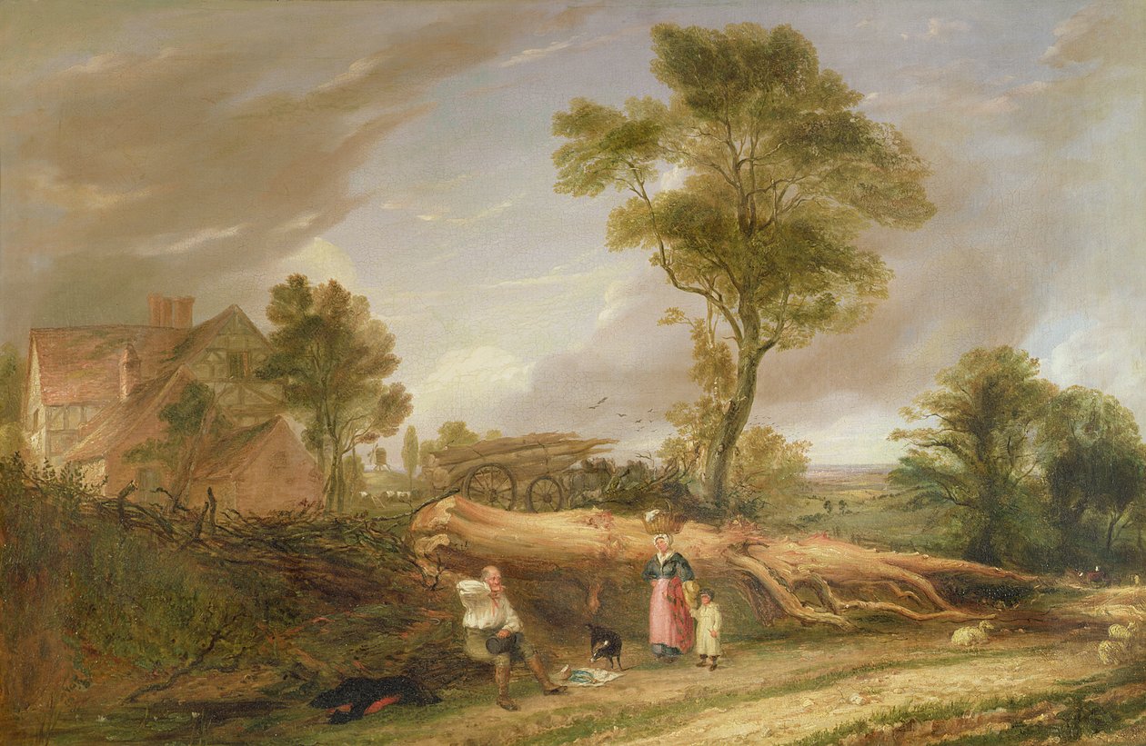 د Woodcutter