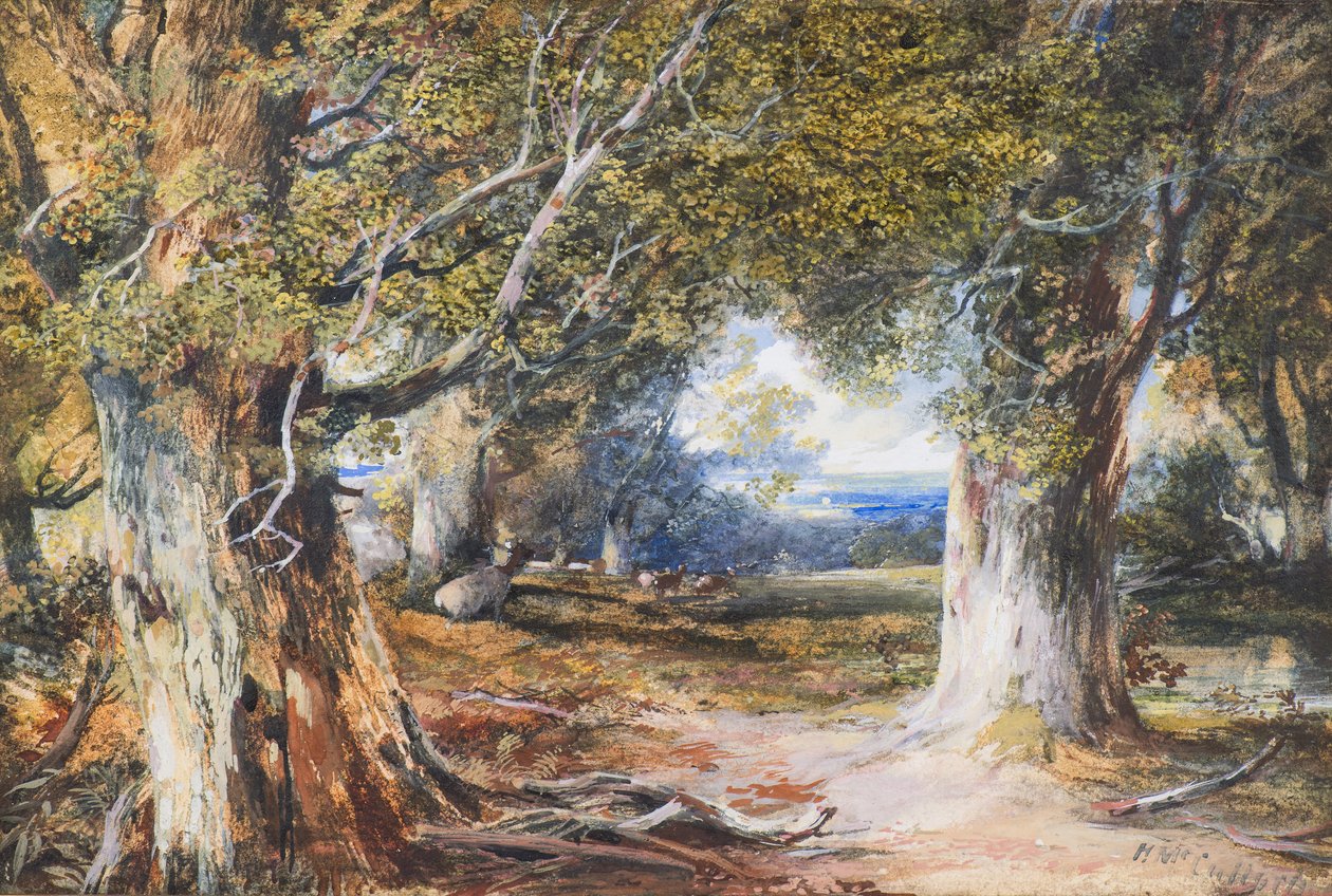 W lesie (akwarela) autorstwa Horatio McCulloch