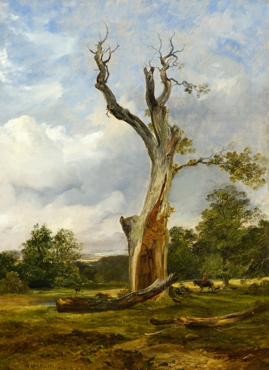 Przeklęte drzewo, ok.1838 (olej na płótnie) autorstwa Horatio McCulloch