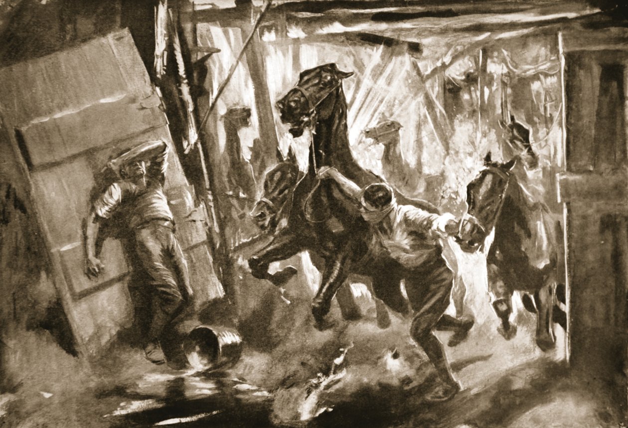 Sierżant prowizoryczny kuśnierz Cussens wydobywający konie ze stajni, w której wybuchł pocisk autorstwa Howard K. Elcock