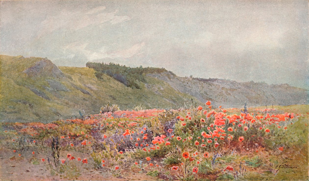 Dolina Maków, c1879-1903, 1903 autorstwa Howard Gull Stormont