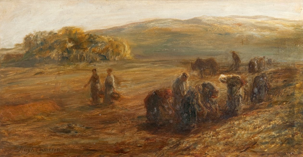 Podnoszenie Ziemniaków autorstwa Hugh Cameron