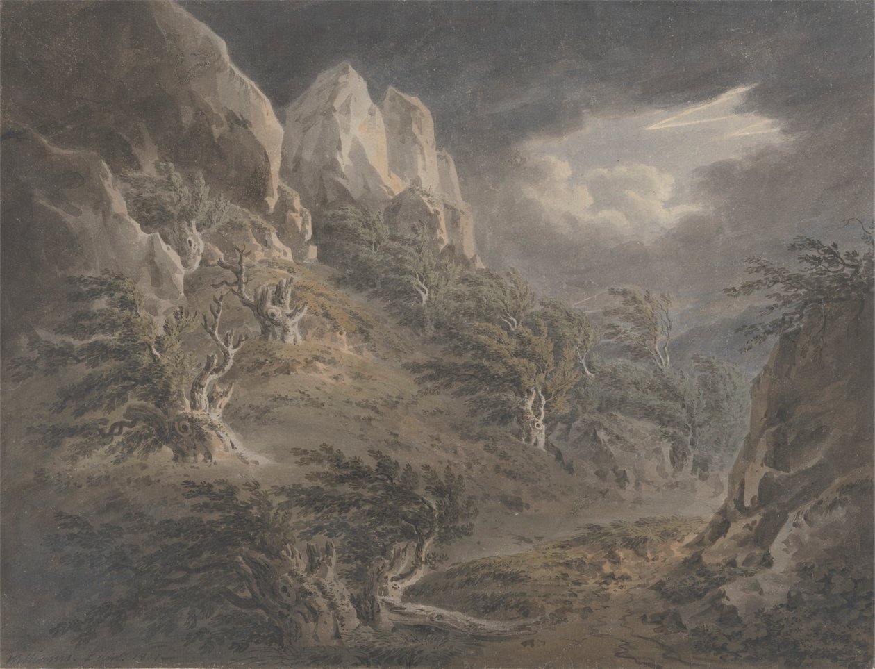 Las Birnamski autorstwa Hugh William Grecian Williams