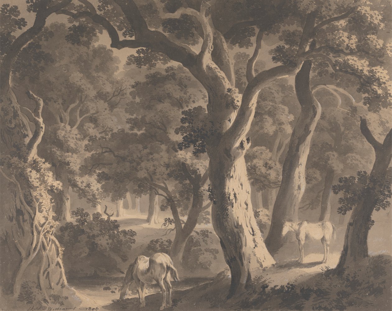 Las Wychwood autorstwa Hugh William Grecian Williams