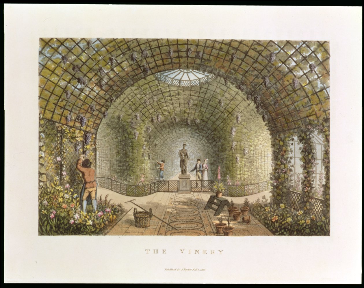 Winnica, z „Fragmenty z teorii i praktyki ogrodnictwa krajobrazowego”, wyd. 1816 autorstwa Humphry Repton
