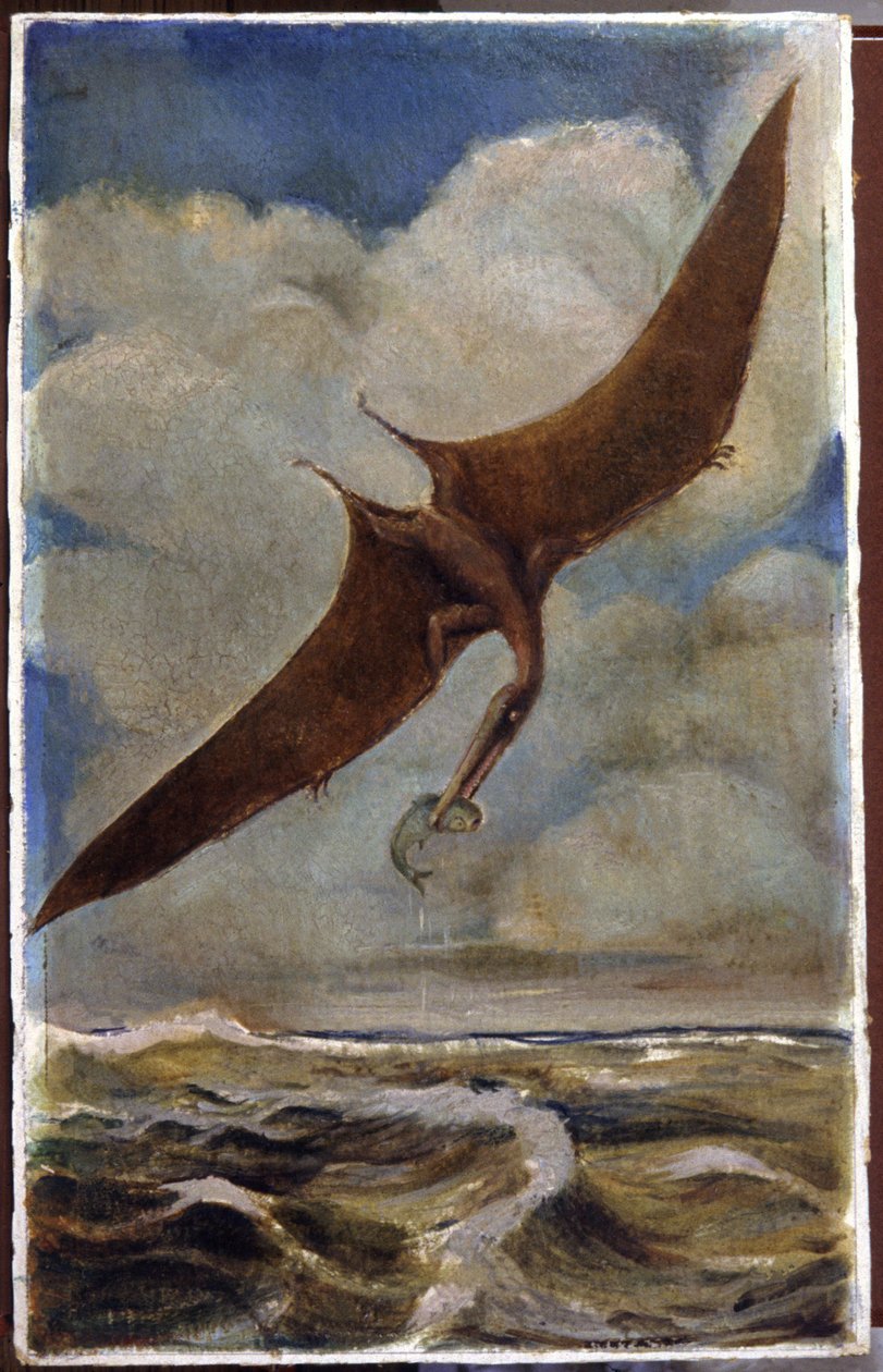 Pterodaktyl. ok.1880 (gwasz) autorstwa Hungarian School