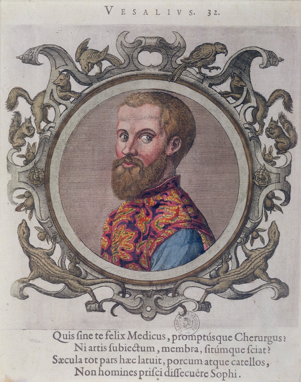 Portret Andreas Vesalius (1514-64) z Recueil des Portraits de Medecins autorstwa węgierskiego lekarza, Sambucus, 1574 autorstwa Hungarian School