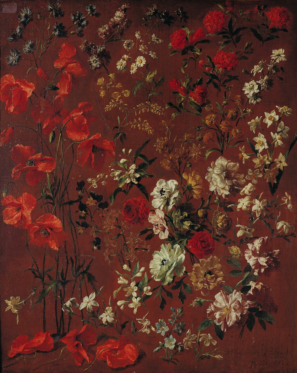 Studium Kwiatów, 1720 autorstwa Hyacinthe Francois Rigaud