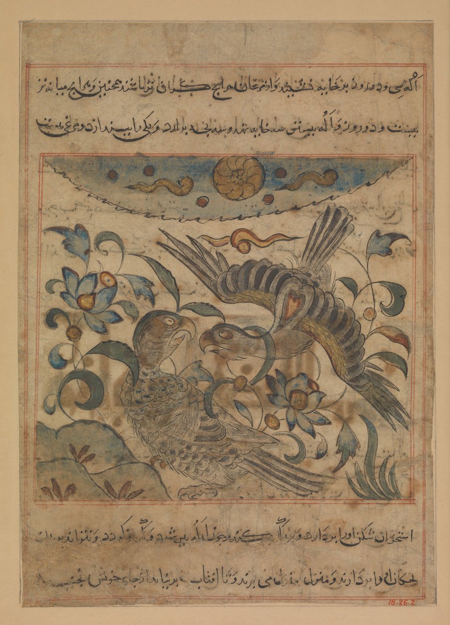 Para orłów, Folio z Manafi