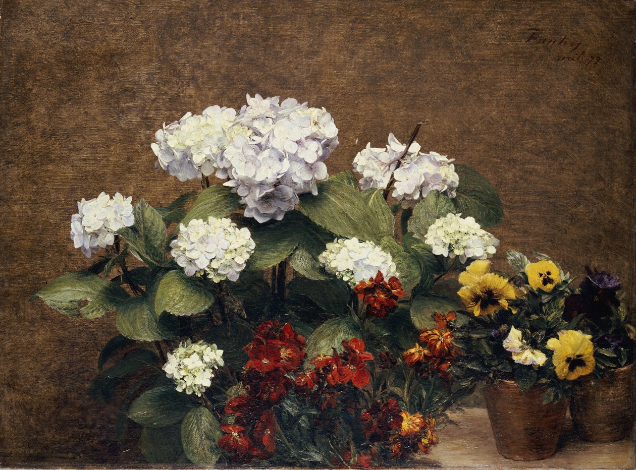 Hortensje i zapasy z dwoma garnkami bratków, 1879 autorstwa Ignace Henri Jean Fantin Latour
