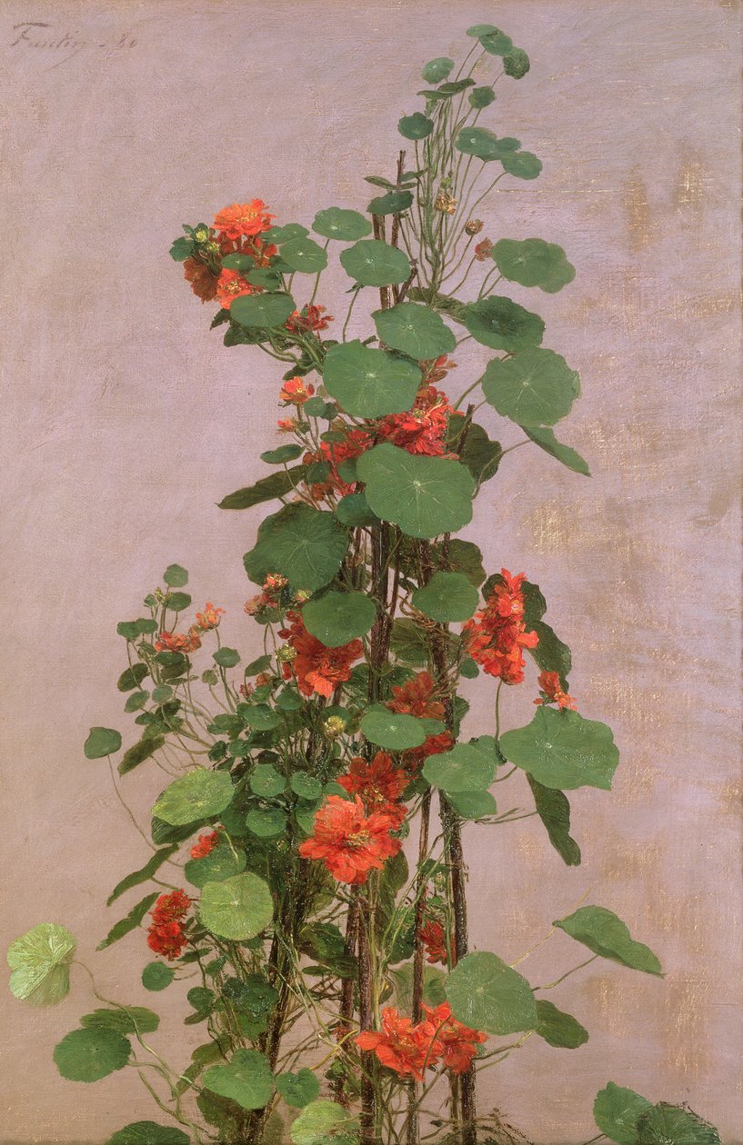 Nasturcje, 1880 autorstwa Ignace Henri Jean Fantin Latour