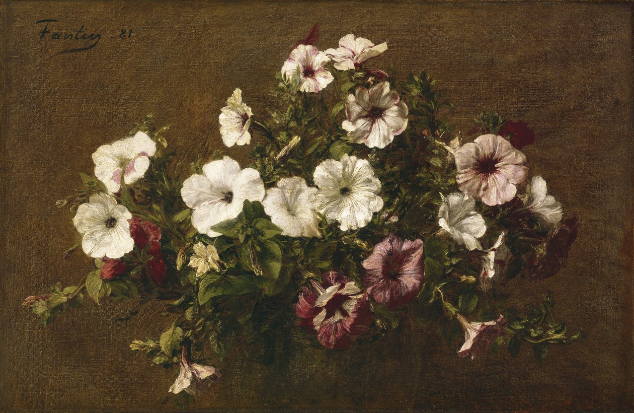 Petunie, 1881 autorstwa Ignace Henri Jean Fantin Latour
