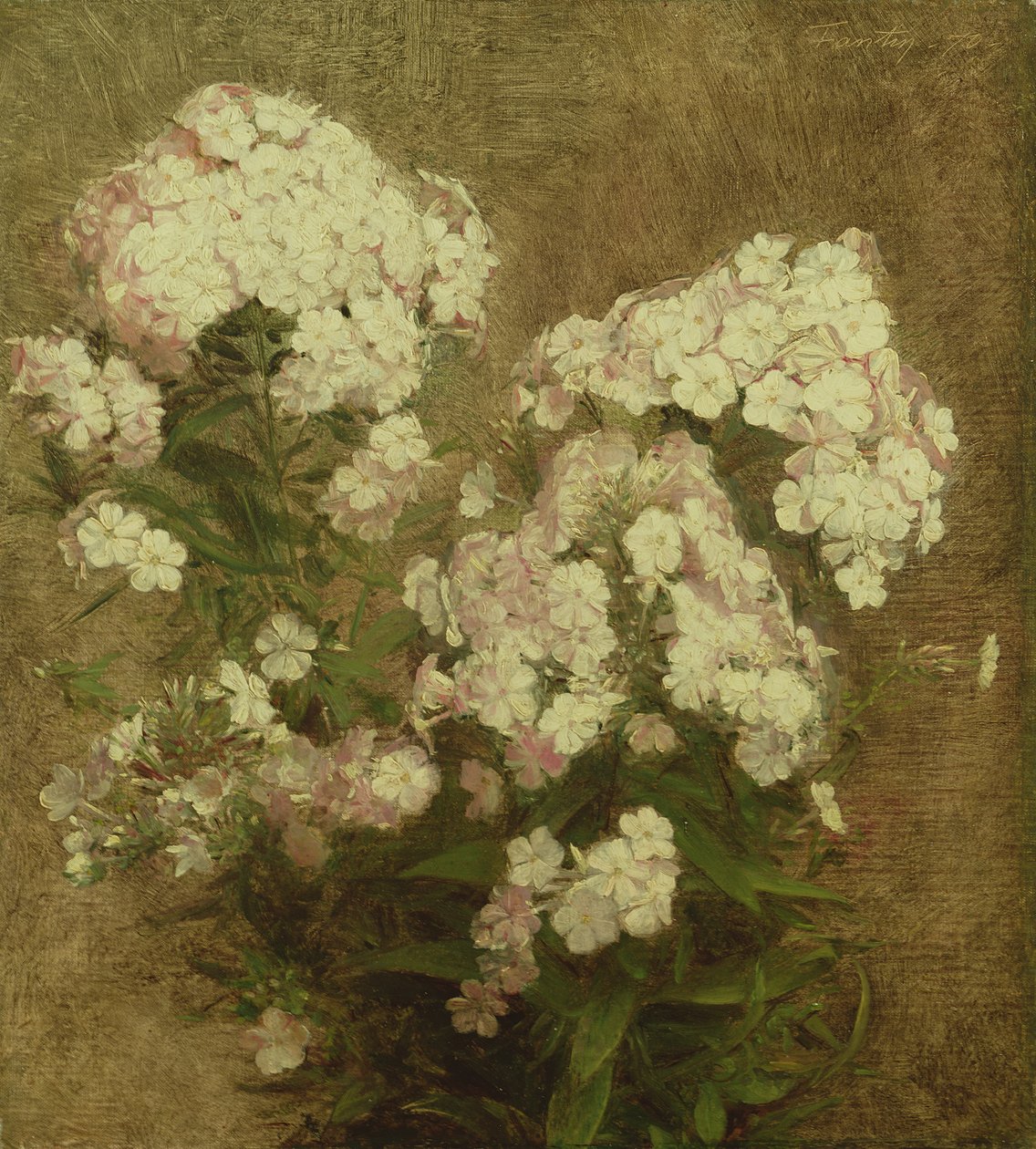Phlox, 1870 autorstwa Ignace Henri Jean Fantin Latour