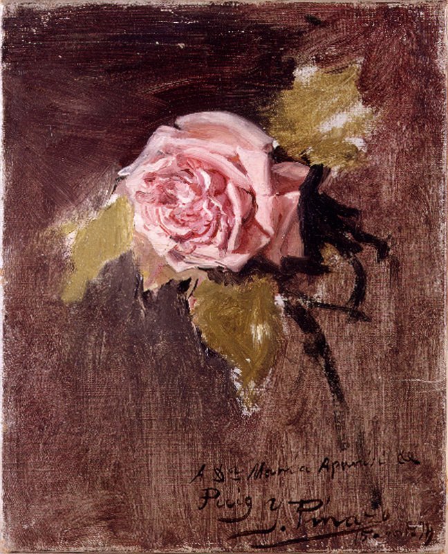 A Róża autorstwa Ignacio Pinazo Camarlench