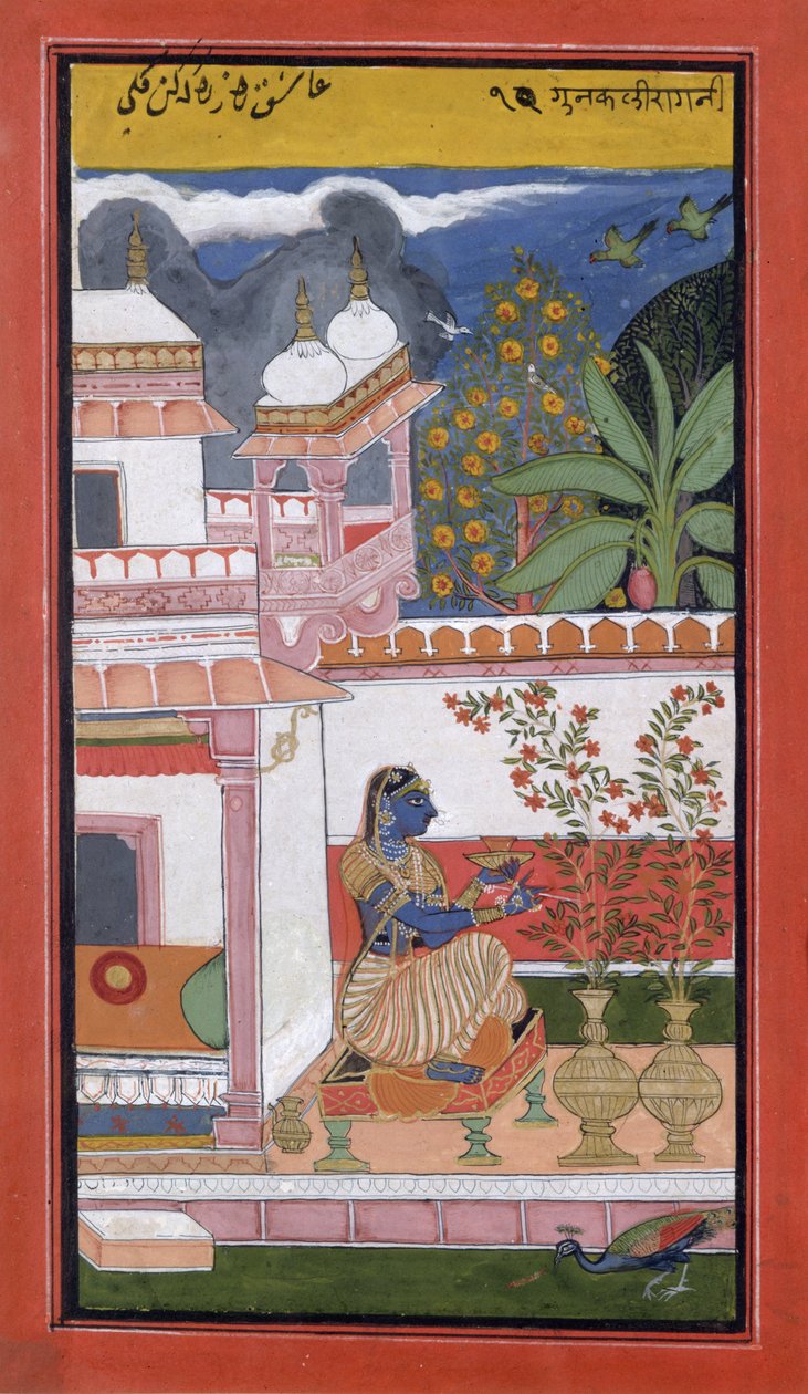 Pani zbierająca kwiaty z doniczki, Bundi, Radżastan, Szkoła Rajput, ok. 1680, autorstwa Indian School