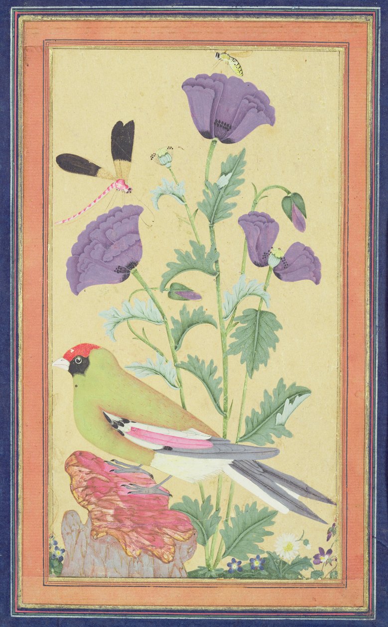 Zięba, maki, ważka i pszczoła, ok. 1650-70 (wc i złoto na papierze) autorstwa Indian School