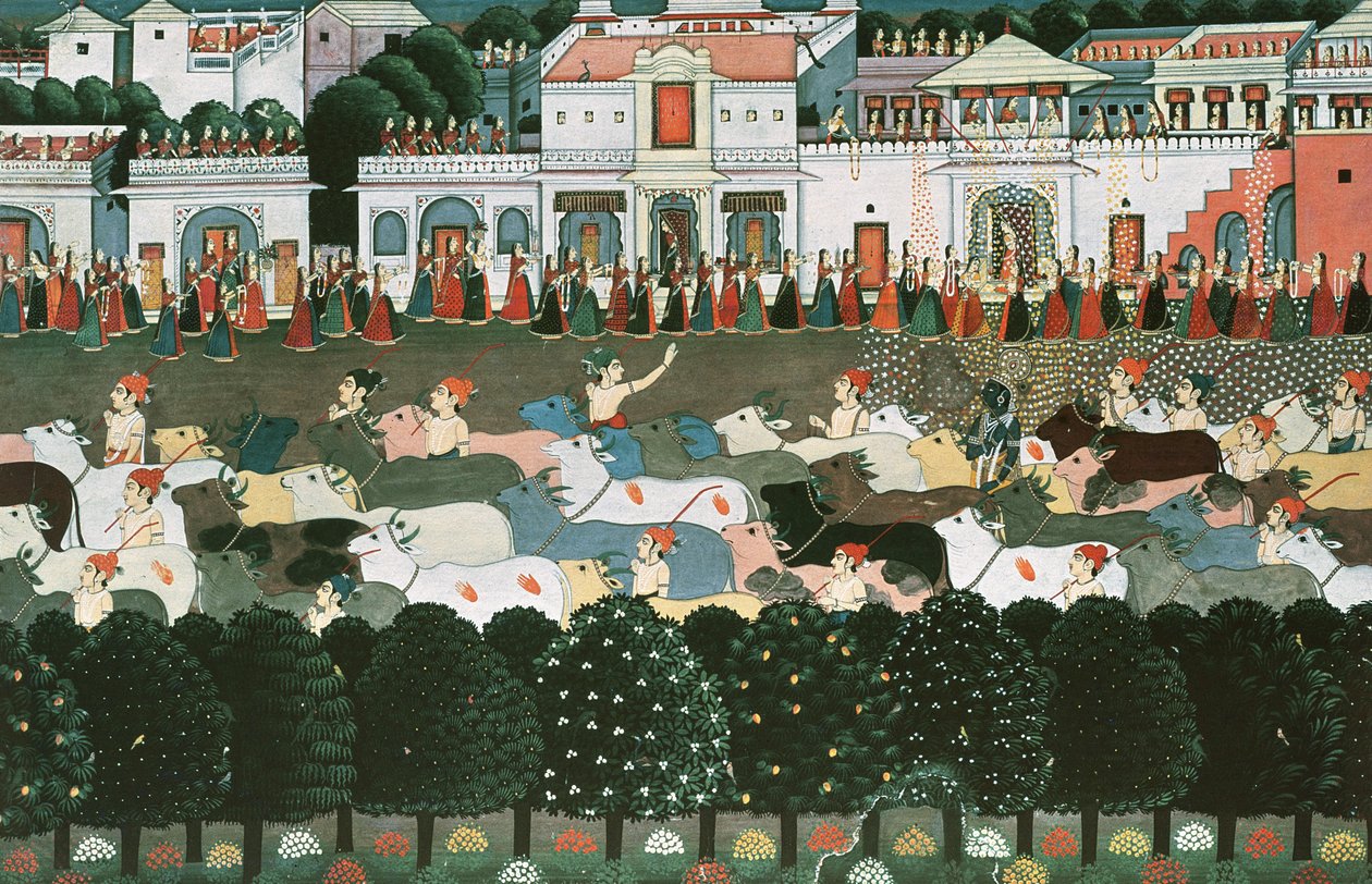 8 غواګانو ته راستنیدل: باثباته ته د راستنیدو وخت؛ شایسته autorstwa Indian School