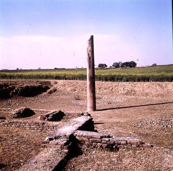 Filar cesarza Asioki (ok. 264-223 pne) Mauryan (zdjęcie) (patrz także 162926) autorstwa Indian