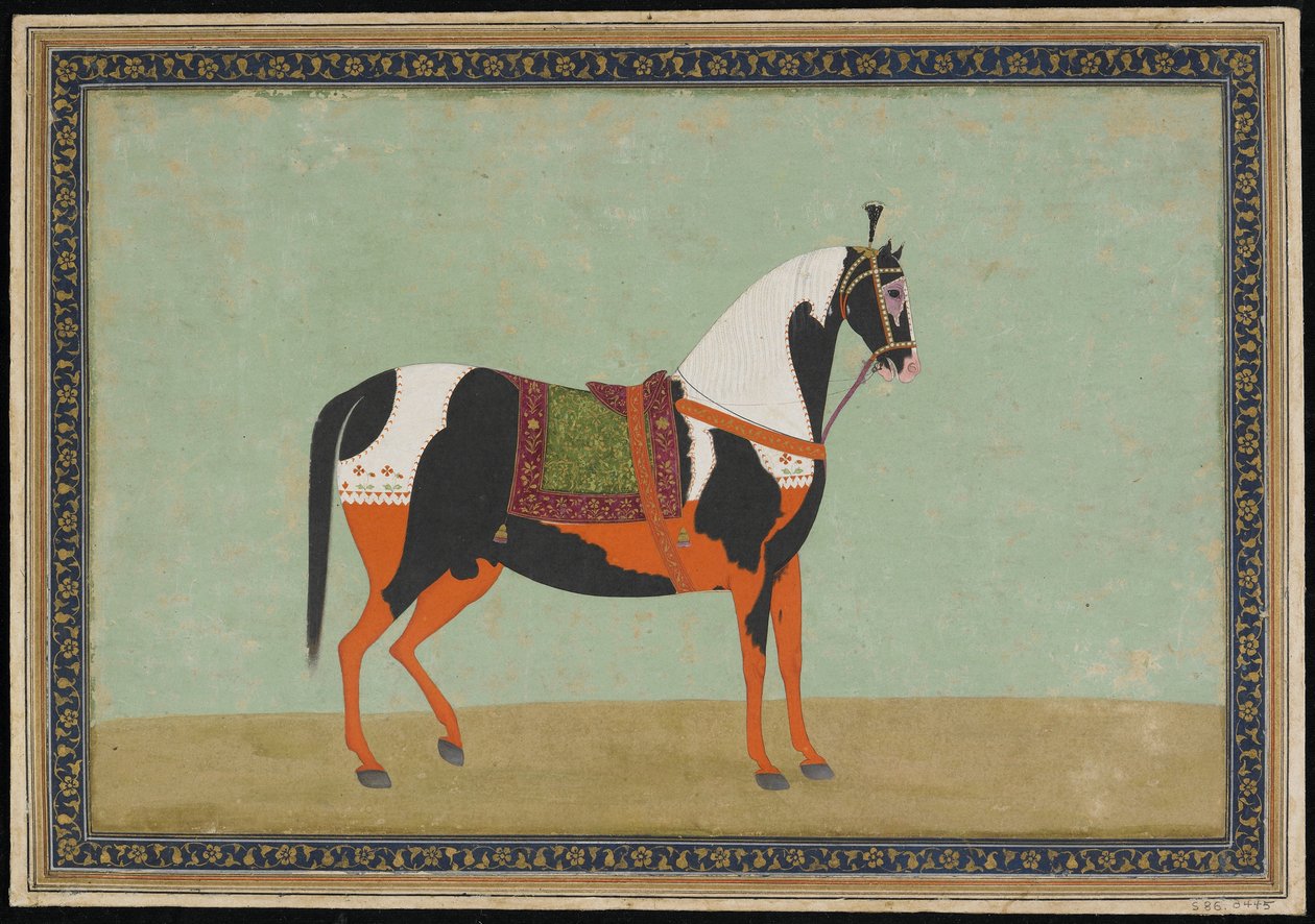 Koń, Album folio, XIX w. (nieprzezroczysta akwarela i złoto na papierze) autorstwa Indian School