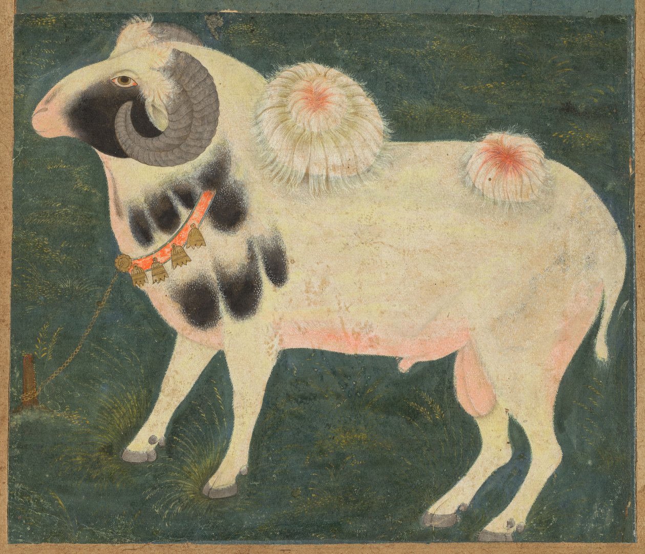 Królewski baran ze złotym łańcuchem, ok. 1585 (nieprzezroczysta akwarela i złoto na papierze) autorstwa Indian School