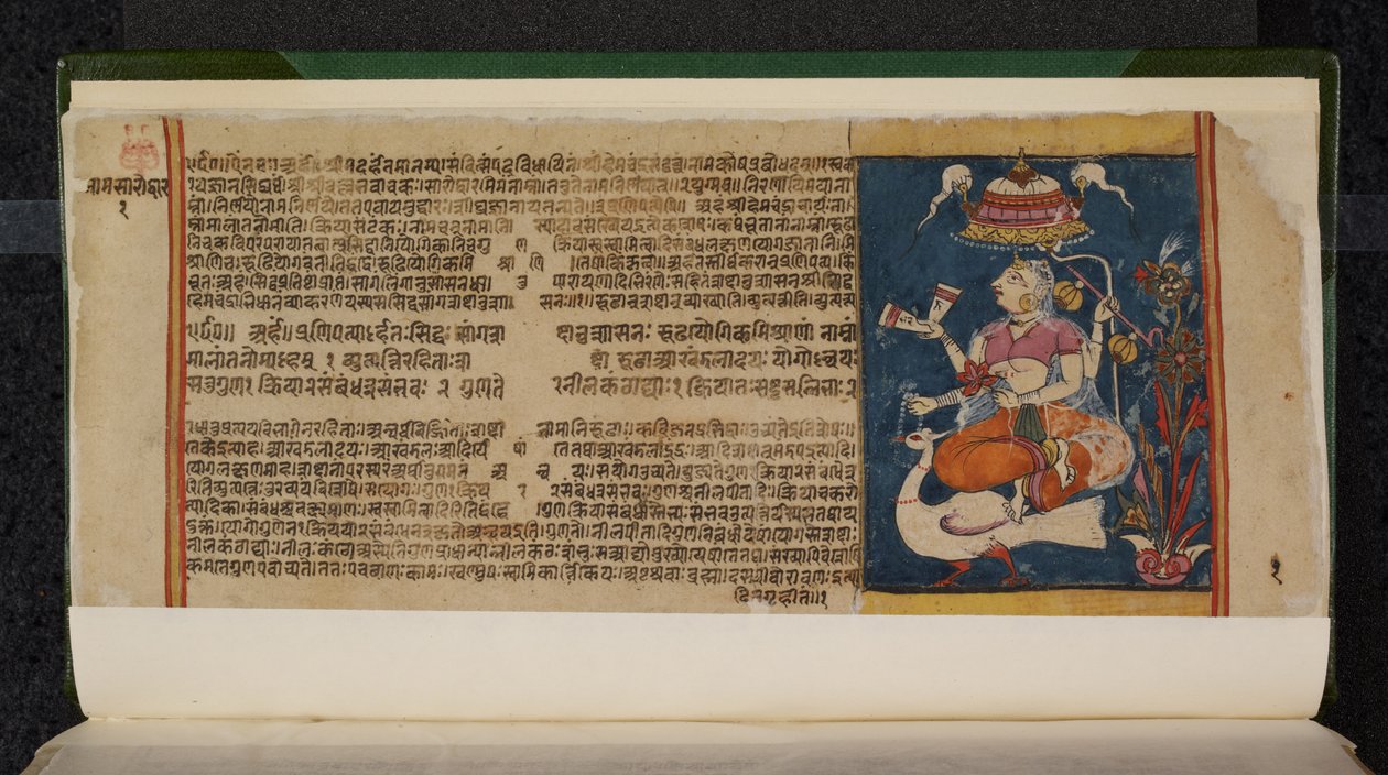 Folio rękopisu Abhidana Chintamaniego autorstwa Indian School