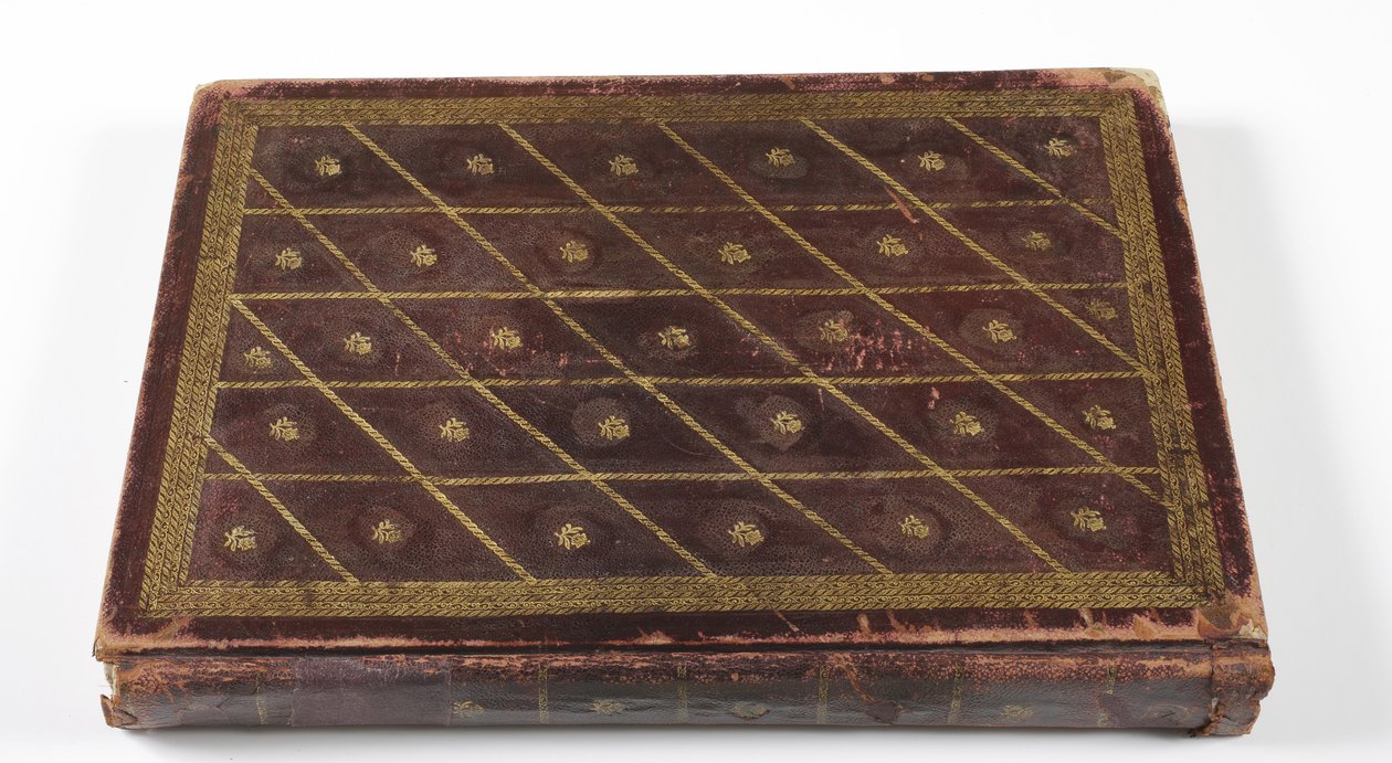 Album z genealogią dynastyczną Mogołów, 1855 (skóra ze złotym detalem) autorstwa Indian School