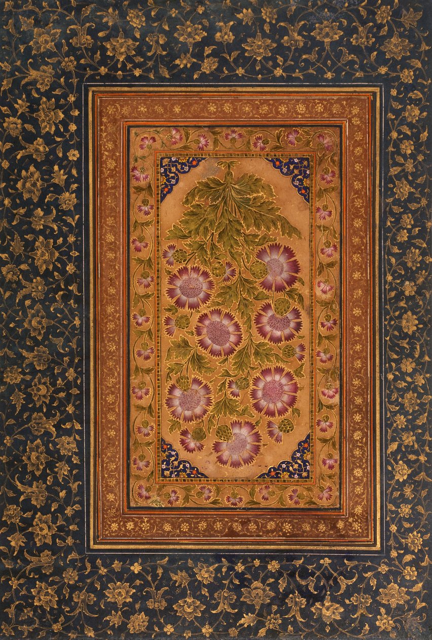 Strona albumu ze Stokesią i portretem Abdula Rahima Khan-e Khanna, ok. 1800 (nieprzezroczysta toaleta i złoto na papierze) autorstwa Indian School