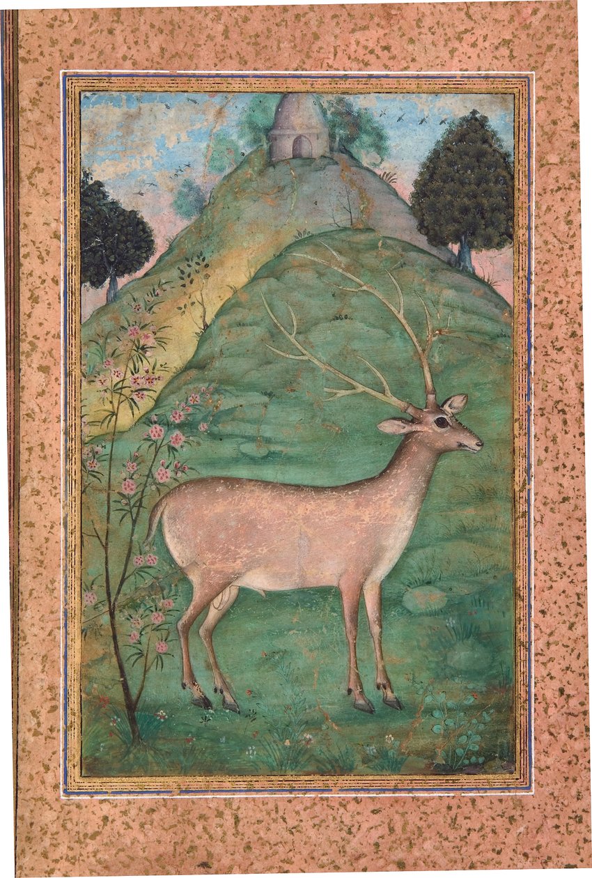 Buck w krajobrazie, ok. 1595 (nieprzezroczysta toaleta i złoto na papierze) autorstwa Indian School