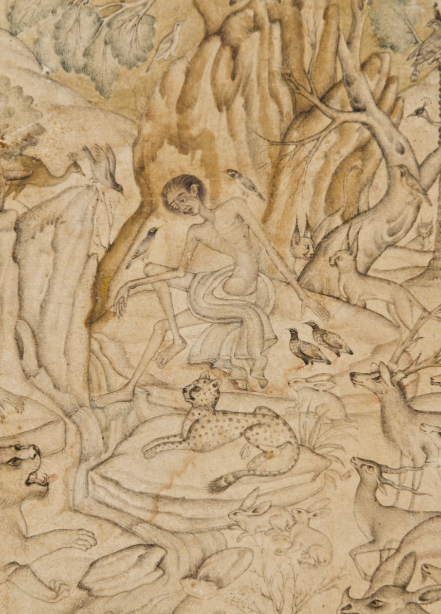 Detal z Majnun na pustyni, ok. 1595 (nieprzezroczysta toaleta i złoto na papierze) autorstwa Indian School