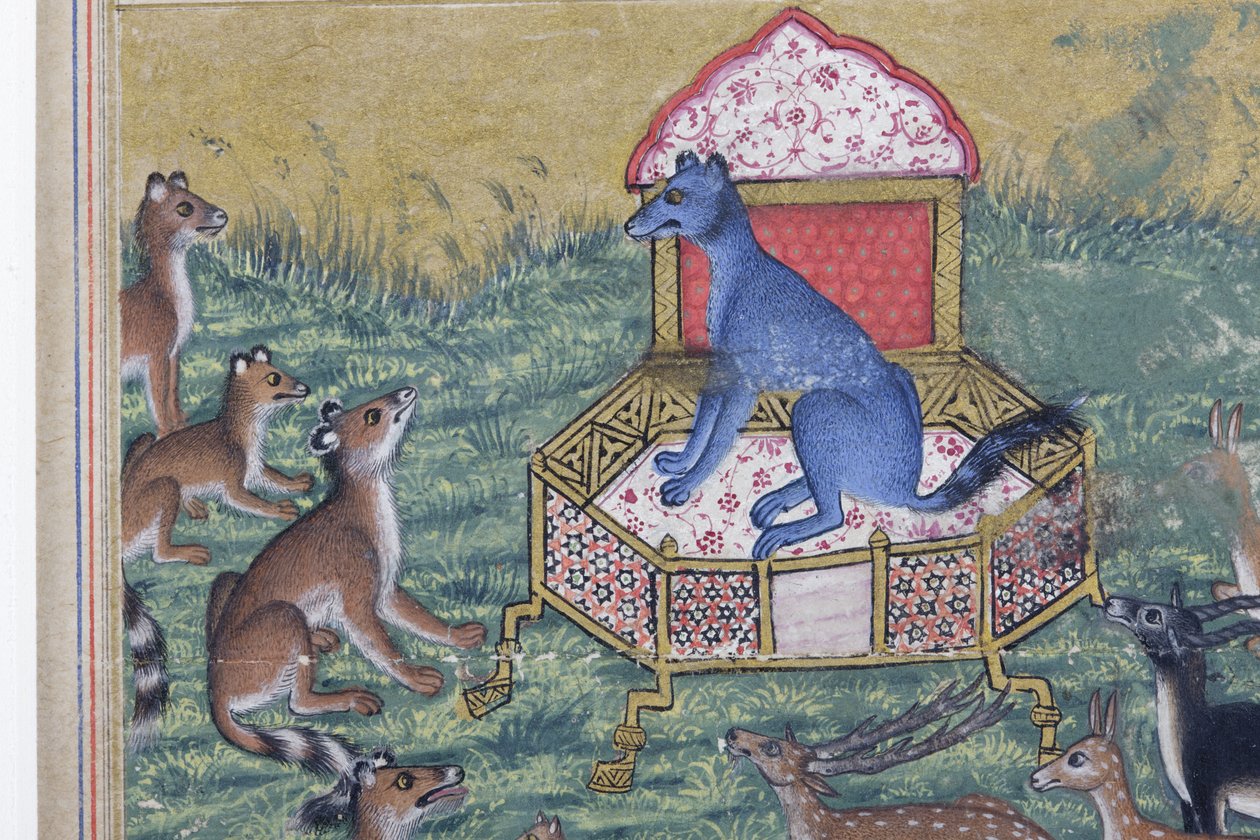 Fragment obrazu Szakal, który ogłosił się królem, ok. 1560-65 (nieprzezroczysta toaleta i złoto na papierze) autorstwa Indian School