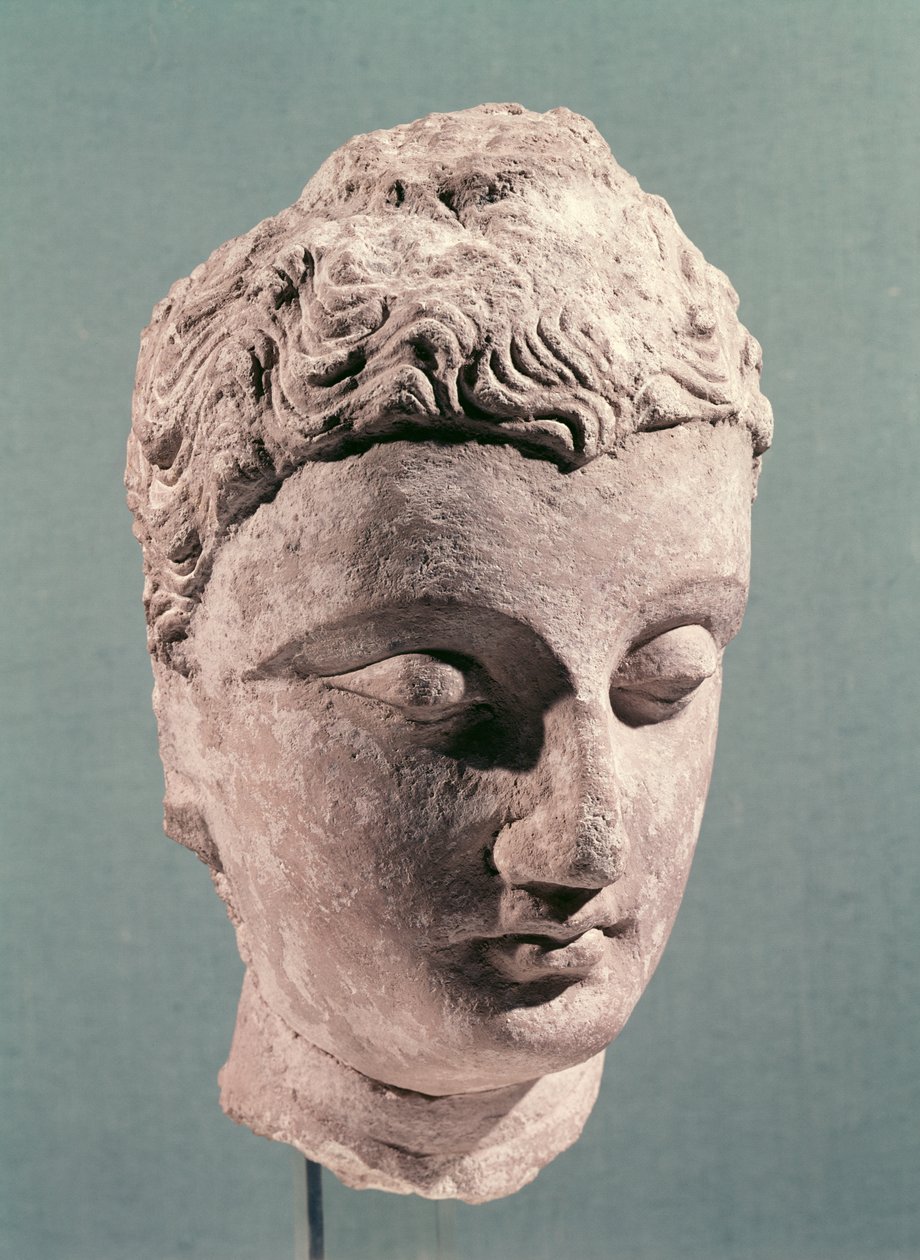 Głowa Buddy, Gandhara, II-IV w. (stiuk) autorstwa Indian School