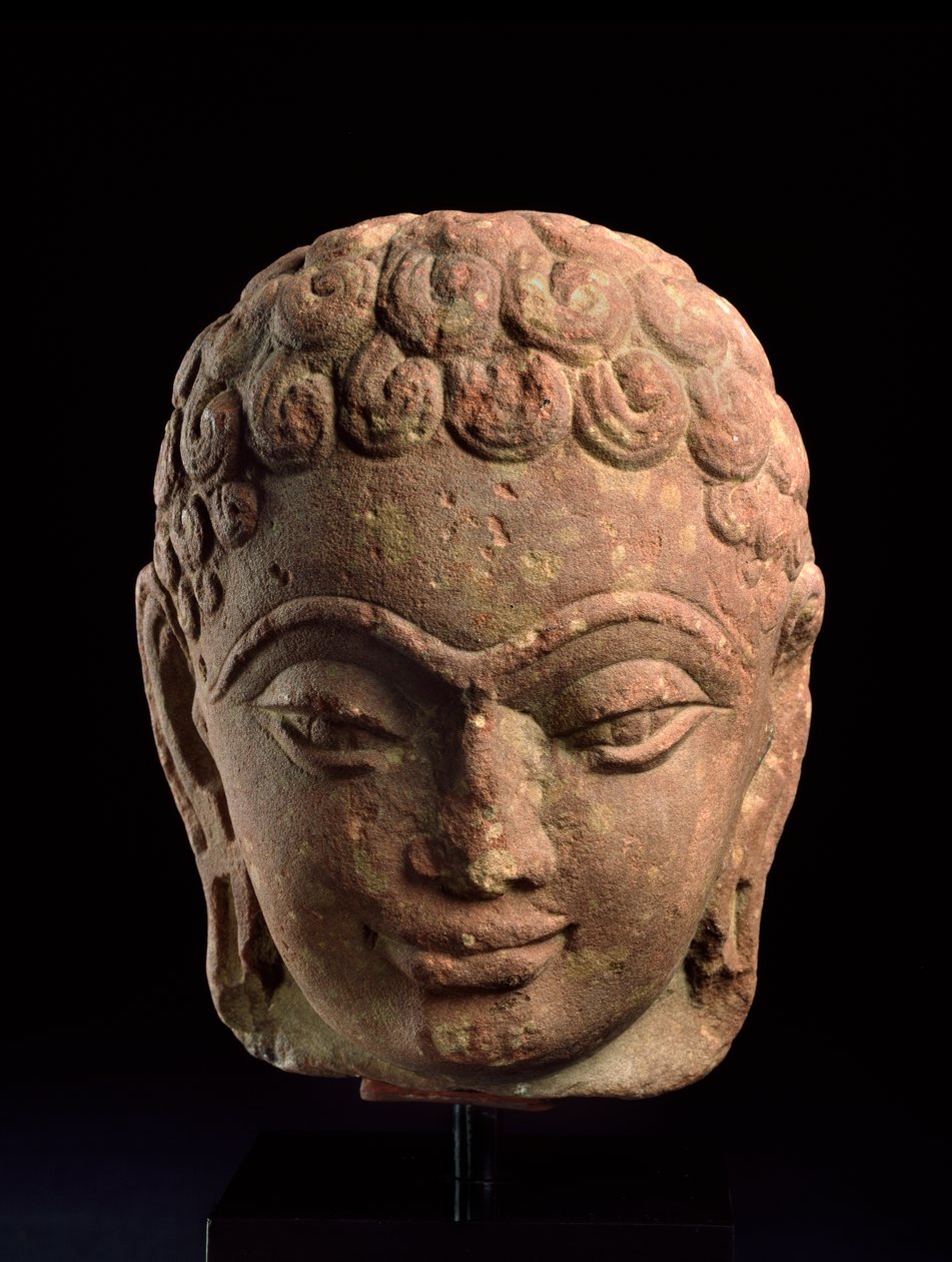 Głowa Jain Tirthankara, region Mathura, okres Kushan, III-IV wne (piaskowiec) autorstwa Indian School