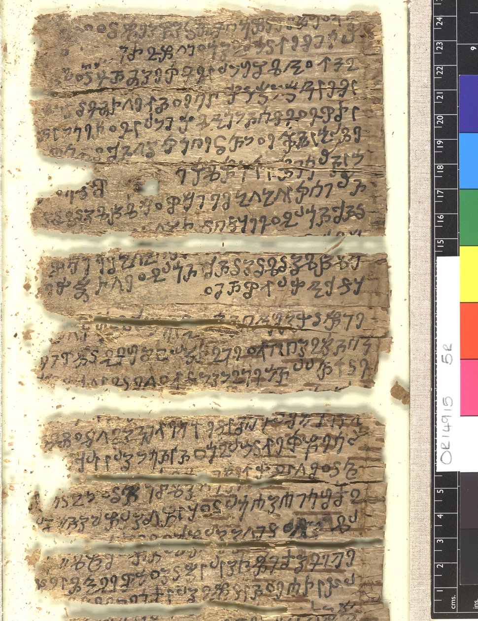 OMS OR 14915 f.5r Fragmenty rękopisu z kory brzozowej w Kharoṣṭi autorstwa Indian School