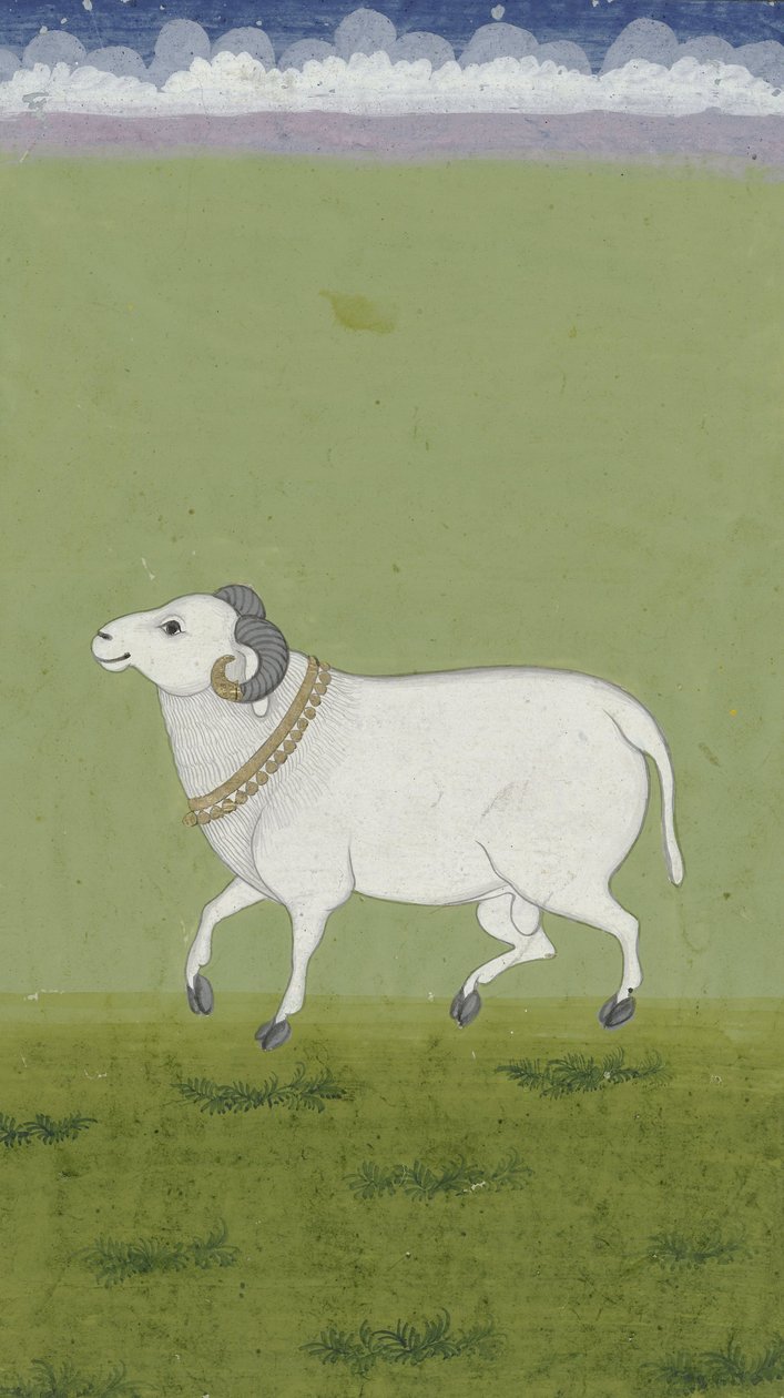 Baran ze złotym kołnierzem, 1700-1799 autorstwa Indian School