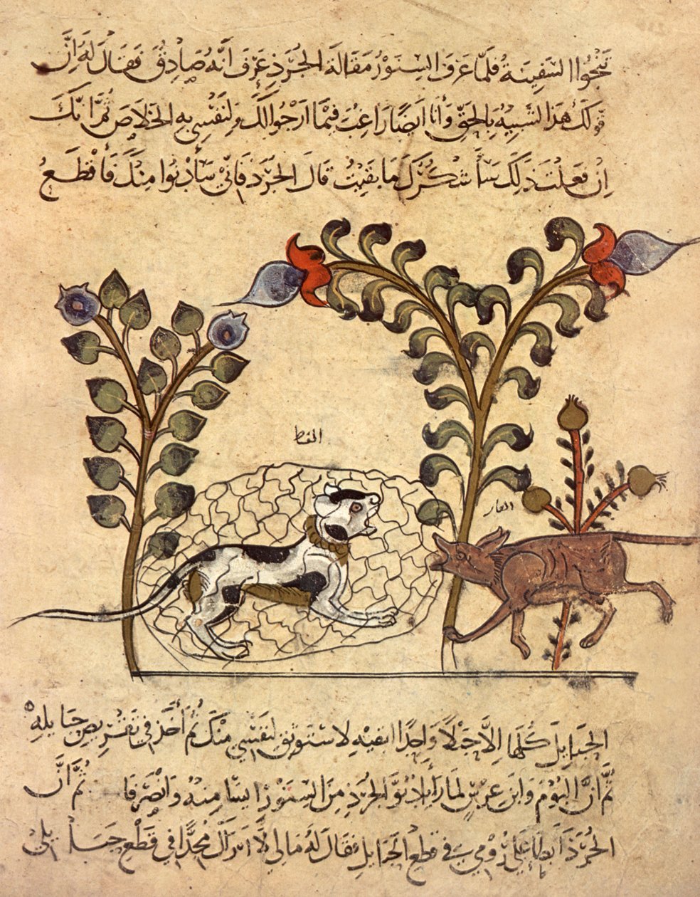 Kot i szczur, arabska miniatura z "Kalila va dimna" autorstwa Indian School