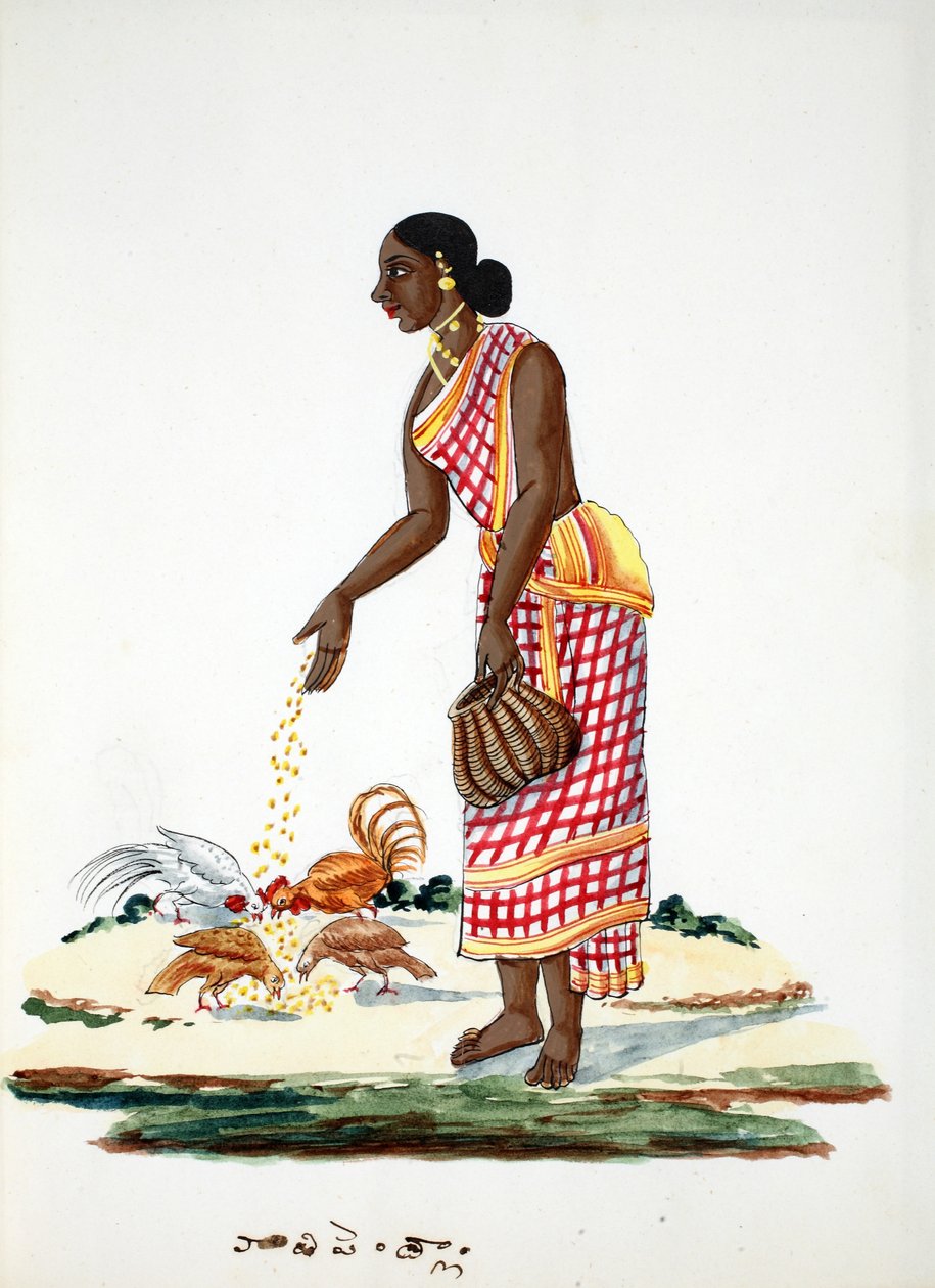 Kobieta karmiąca kurczaki (wc na papierze) autorstwa Indian School