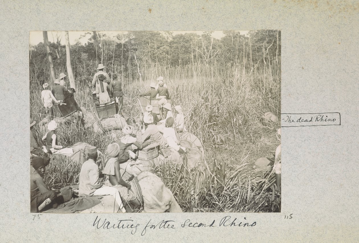 Oczekiwanie na drugiego nosorożca, „Kolekcja Curzona: Album migawek, odnoszący się głównie do czasów Lorda Curzona jako wicekróla Indii”, kwiecień 1901 autorstwa Indian photographer