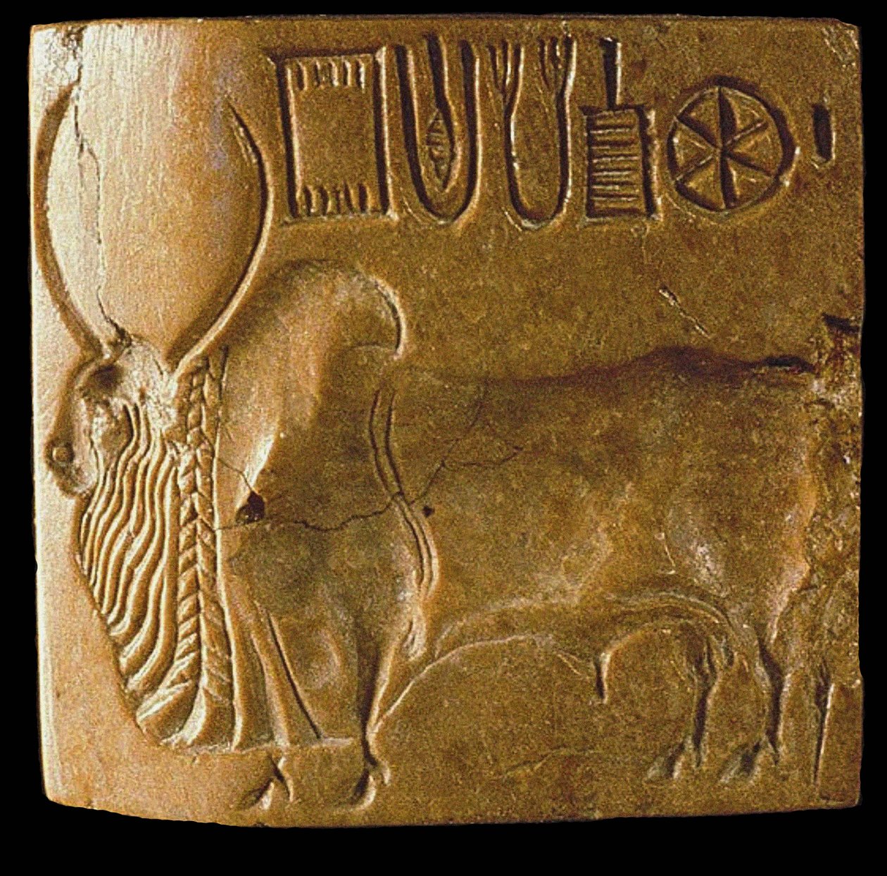 Pieczęć Byka Zebu z Induskim Pismem Znaleziona w Mohendżo Daro, Dolina Indusu, 3. tysiąclecie p.n.e. autorstwa Indus Valley Civilisation.