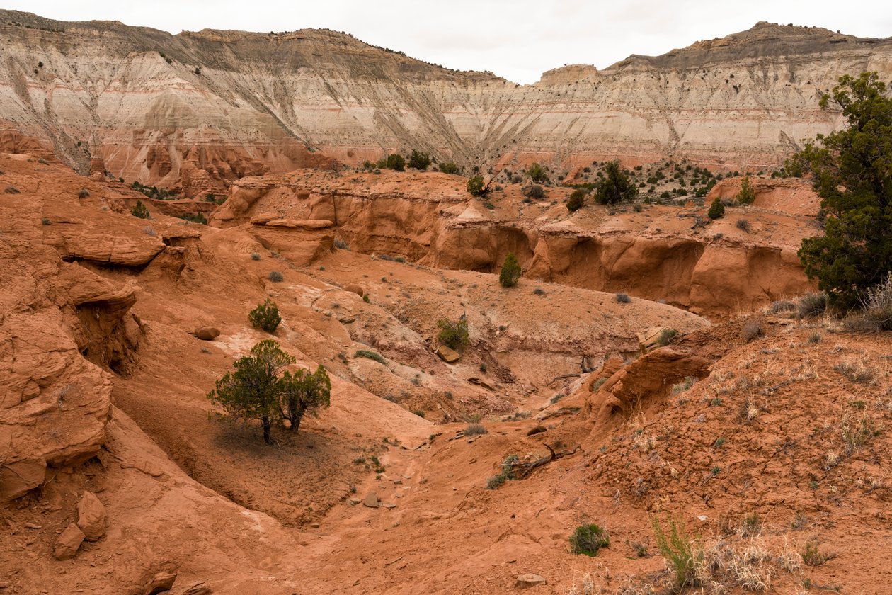 Krajobraz w parku stanowym Kodachrome Basin, Utah, 2019 r. (zdjęcie ilustracyjne) autorstwa Ira Block