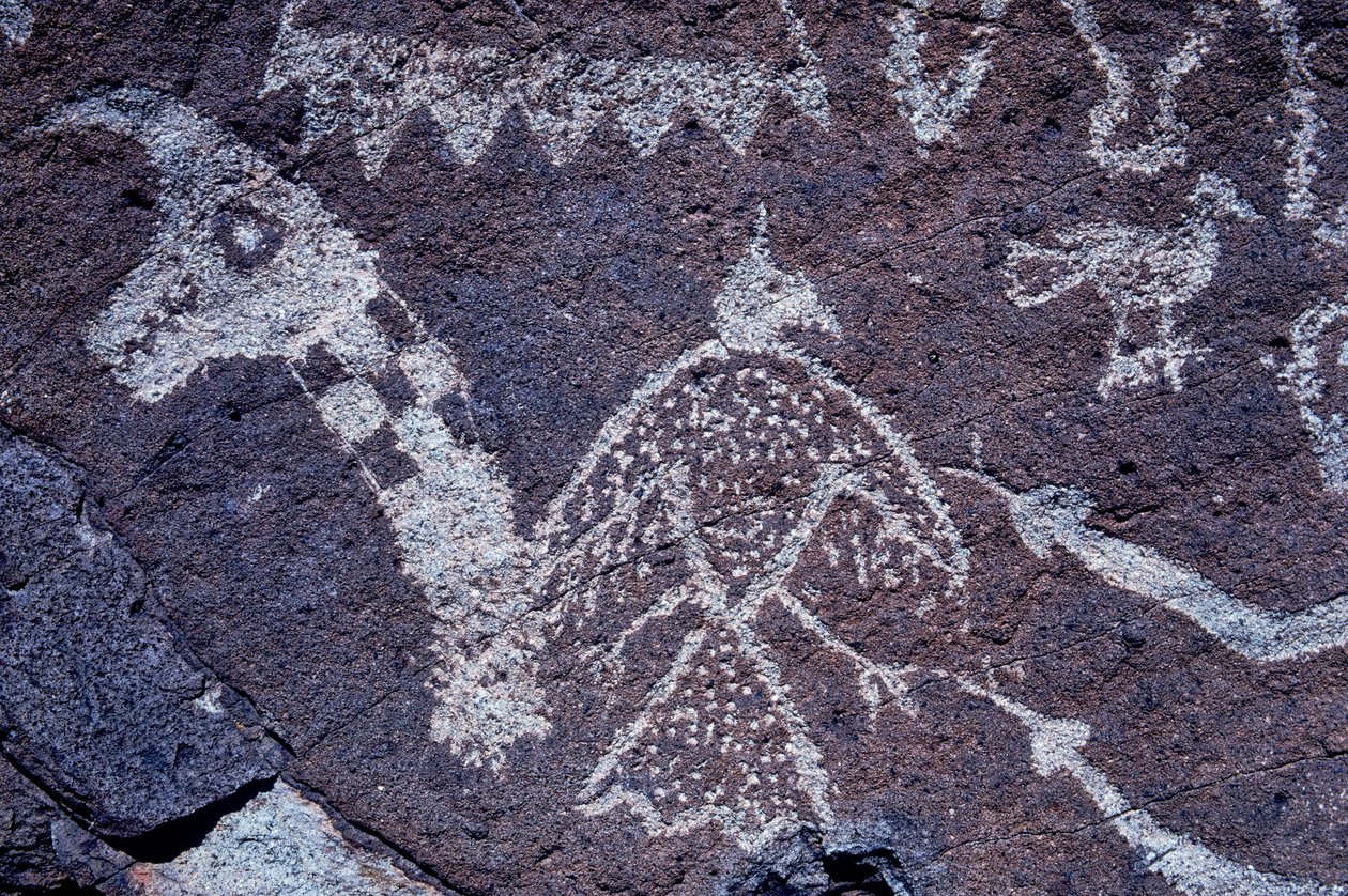 Petroglify Anasazi (sztuka naskalna) w Nowym Meksyku. autorstwa Ira Block