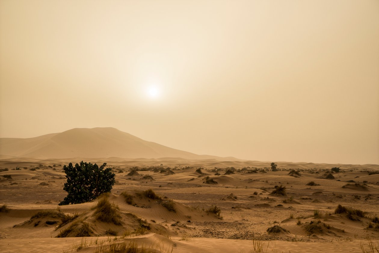 Wydmy na pustyni Erg Chebbi w południowo-wschodnim Maroku, 2014 r. (zdjęcie ilustracyjne) autorstwa Ira Block